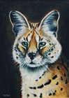 Serval