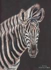 Zebra Chapmannova - hříbě