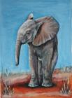 Slon africký - slůně