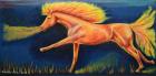Pohádkový kůň AKRYL plátno